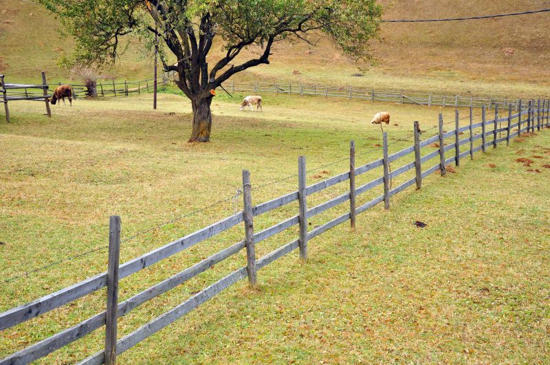 Livestock Fencing Service